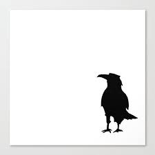 Pied Crow Black Bird With White Ring Around Neck Pin On Art Fuckery