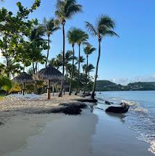 Paul Messer in people