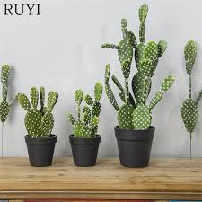 As long as you've got thick gloves or a towel for hand protection, cooking nopal cactus is surprisingly simple — and. Top 8 Most Popular P57 Hoodia Cactus Brands And Get Free Shipping 486kbln0