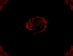 Black And Red Rose Wallpaper Red Rose Black Picture Graphic Black And Red Roses Rose Wallpaper Black And Red