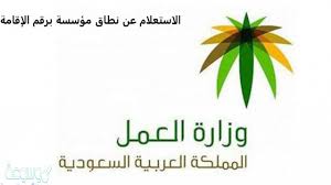 استعلام عن نطاق مؤسسة برقم اقامة بالخطوات والشرح 1442 موسوعة نت
