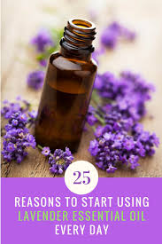 25 Reasons To Starting Using Lavender Essential Oil Daily Essential Oils For Colds Lavender Essential Oil Uses Best Essential Oils
