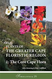 Image result for Christella gueinziana