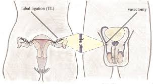 Collection by kb dee • last updated 1 day ago. 9 Female Anatomy Types