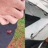 Guncangan gempabumi ini dilaporkan telah dirasakan di wilayah berikut: Https Encrypted Tbn0 Gstatic Com Images Q Tbn And9gcsaxlp Gdgd0wxhoz7ar5gmjfauhnnxedam2d Icgmlhx1kwgpg Usqp Cau