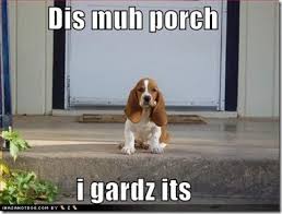 8 teanie tiny pups who think they re guard dogs hunde welpen dachshund welpen