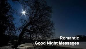 Each of the image in this collection has been. Top 40 Romantic Good Night Messages Quotes For Wife Wikirote