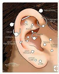 Pin By Ada Kufova On Tatuagem Types Of Ear Piercings Different Ear Piercings Guys Ear Piercings