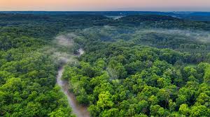 Mächtiger regenwald, imposanter fluss, indianer, abenteuer, verblüffende tiere & pflanzen. Amazonas In Kolumbien Paradies Fur Naturliebhaber