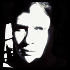 Hedenljungs InsektsLiv