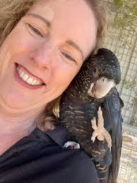 Free local collection and delivery service