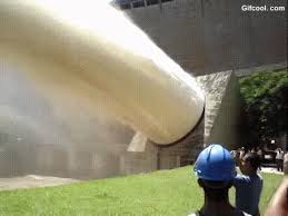 We did not find results for: Fire Hydrant Gifs Tenor