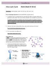 Student exploration energy conversions gizmo answer key. Student Exploration Collision Theory Worksheet Answers Promotiontablecovers
