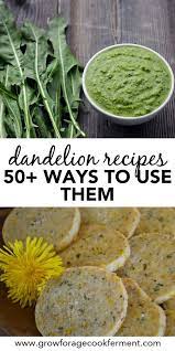 50 Dandelion Recipes Drinks Sweets Soap Remedies More Dandelion Recipes Wild Edibles Recipes Foraging Recipes
