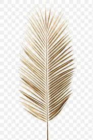 Browse and download hd palm leaf png images with transparent background for free. Areca Palm Leaf Painted In Gold Design Element Premium Image By Rawpixel Com Teddy Rawpixel Gold Design Flower Graphic Design Gold Design Background