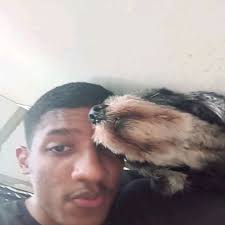 É.., tem sido difícil sem ti, Todos os cantos da casa não são o mesmo, E  principalmente a vida, não é mais a mesma sem ti.., Segue da mesma forma,  mas no fundo no fundo. A gente sabe que falta algo. ...