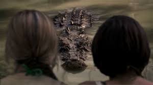 Abyss thank you for the support and feedback. Win Black Water Abyss Win A Copy Of The Killer Croc Film Here