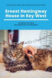 Wichtig ist es, einen spruch auszuwählen. Das Haus Von Schriftsteller Ernest Hemingway In Key West In Florida Beherbergt Ganz Besondere Katzen Florida Katzen Keywest Usa Reise Key West Reisetipps