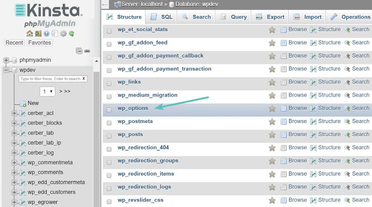 Locating the wp_options table in phpMyAdmin, AI generated