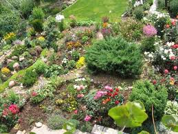Jardin De Rocaille 70 Idees A Copier Pour Creer Une Rocaille Moderne Jardin De Rocaille Jardins Rocaille