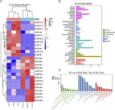 Image result for bioinformatics heatmap