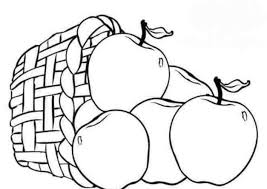 Misalnya, gambar buah apel yang ukurannya lebih besar daripada buah pepaya. 19 Gambar Sketsa Buah Terlengkap Beserta Manfaatnya