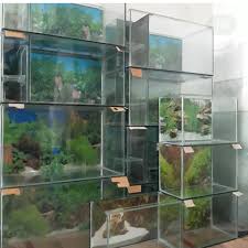 Namun ada banyak jenis ikan hias air tawar yang bisa dipelihara oleh anda tanpa harus membeli semua kebutuhan dan peralatan akuarium. Perlengkapan Aquarium Bagi Pemula Aquarium Air Tawar Saringan Air