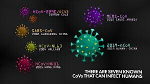 Louisville, located in jefferson county, is the largest city in kentucky, with a population of 597,337. Coronavirus List Of Louisville Kentucky School Closures From Covid 19