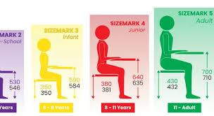 Image result for Sitting Height