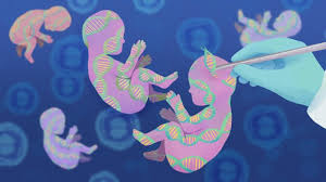 The First Chinese Edited Babies: A Leap of Faith in Science