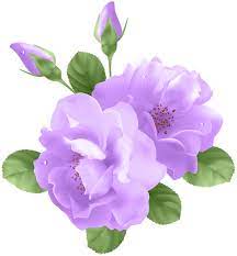Purple Roses Transparent Png Clip Art Flower Clipart Flower Frame Flower Art