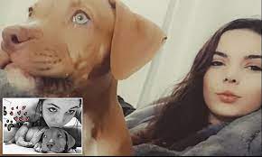 Woman Fined 500 For Filming Her Dog Lick Peanut Butter From Her Crotch And Is Allowed To Keep Pet Daily Mail Online