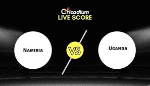 Team p w d l f a gd pts form; Uganda Tour Of Namibia 2021 Live Score Nam Vs Uga 1st T20i Live Cricket Score Ball By Ball Commentary Scorecard Results Indiansports11
