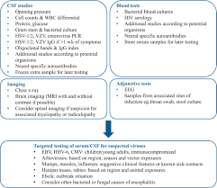 A primary infection with hsv is often. Viral Encephalitis Neurologic Clinics