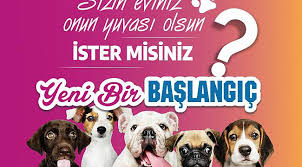 Sevimli Dostlarimiz Icin Yeni Bir Baslangic Tekirdag Corlu Haber