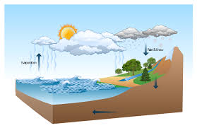 Water Cycle Diagram Drawing Illustration Drawing A