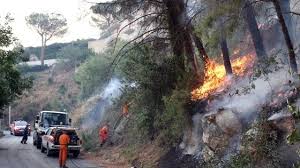 May 23, 2021 · e' continuato per tutta la notte il lavoro dei vigili del fuoco su monte pellegrino a palermo, dove ieri è divampato un incendio. Incendi In Sicilia A Trapani E Palermo Roghi Di Origine Dolosa La Repubblica