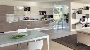 sleek modern kitchen looks like a posh