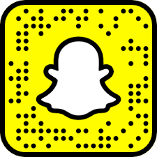 vintage 1950 s dress classic black white gingham rayon full skirt dress snapchat camera filters lens filters