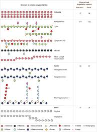 This biologywise article provides you with the structure of plant cells along with the functions of its constituents. Network Reconstruction And Systems Analysis Of Plant Cell Wall Deconstruction By Neurospora Crassa Biorxiv