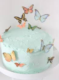 Butterfly Cake Butterfly Birthday Cakes Birthday Cake For Mom Butterfly Birthday Party