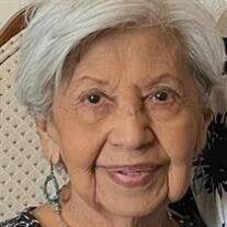 Abigail Cecilia Garza Obituary