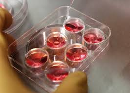 Maybe you would like to learn more about one of these? North Shore Ivf Challenges Make Us Stronger North Shore Ivf