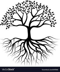 Root Royalty Free Vector Image Tree Silhouette Roots Illustration Tree Of Life Art