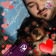 Domenico Rokym Bitetto