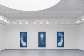 Bildergebnis für Theodora Allen