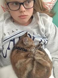 You often see your cat curled up with her tail around her body and her head tucked towards her chest—it's the your cat probably equates tight spaces in general with security. How My Cat Helped Reduce My Anxiety Hill S Pet