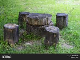 Table Chairs Made Tree Image Photo Free Trial Bigstock The first step to creating your own tree stump tables is to locate the piece of stump you want to use.