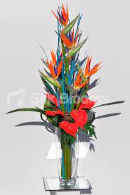 Pin On Bird Of Paradise Floral Displays And Bouquets