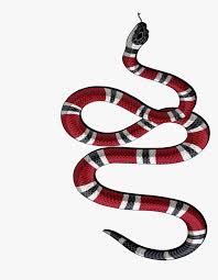 snake tattoo transpa background png